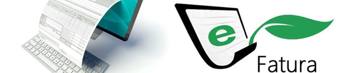efatura programı